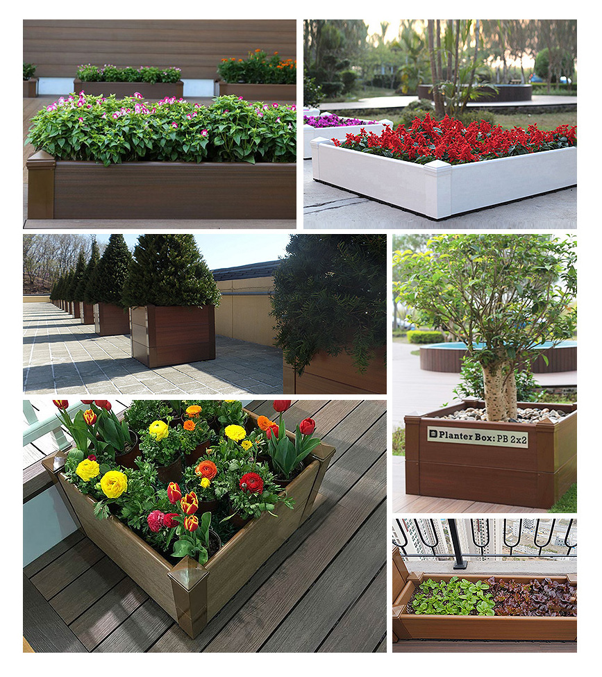 plant box