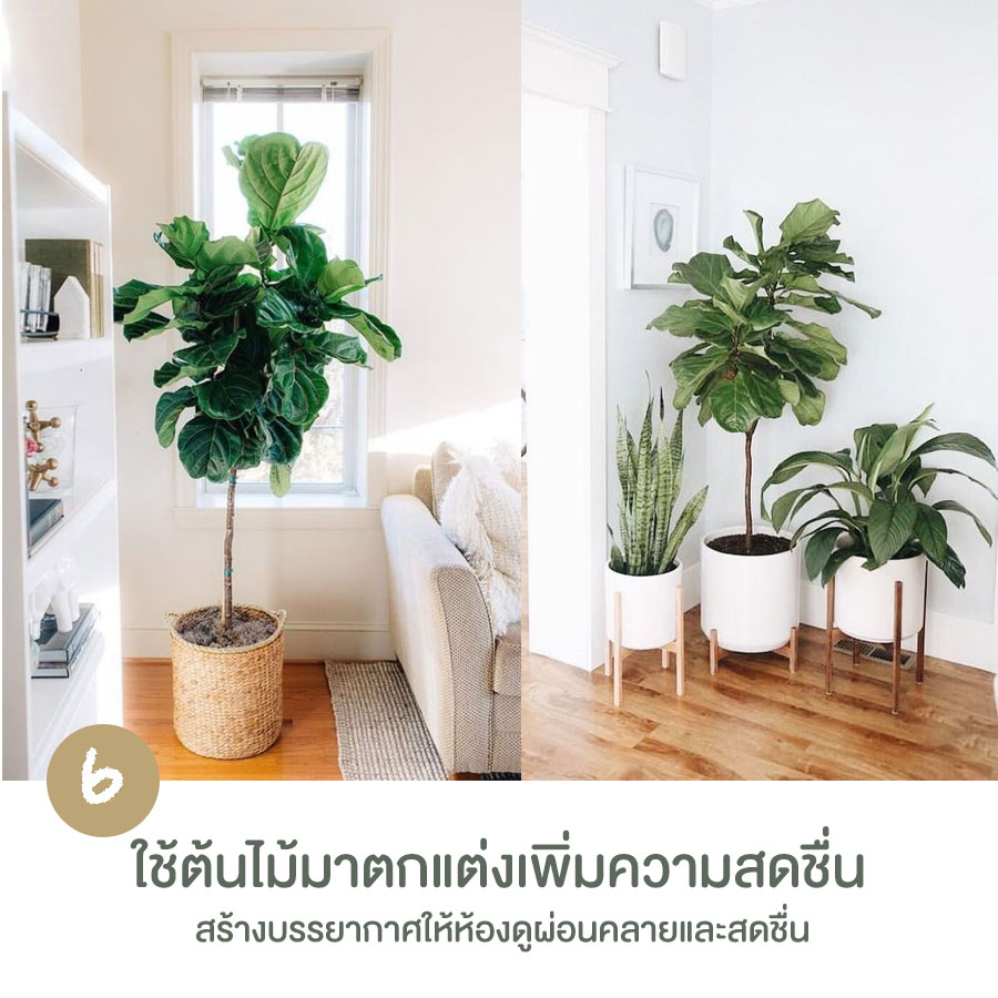 เคล็ดลับในการตกแต่งห้องสไตล์มินิมอล เน้นความเรียบง่าย อบอุ่น ได้กลิ่นอายแบบญี่ปุ่น