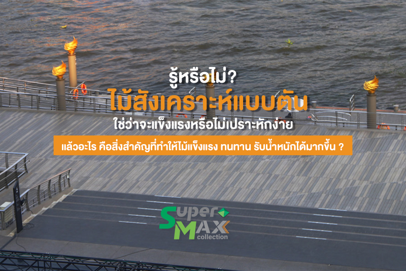 รู้หรือไม่? ไม้สังเคราะห์แบบตัน ใช่ว่าจะแข็งแรงหรือไม่เปราะหักง่าย