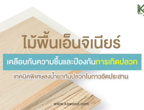 ไม้พื้นเอ็นจิเนียร์เคลือบกันความชื้นและป้องกันการเกิดปลวก