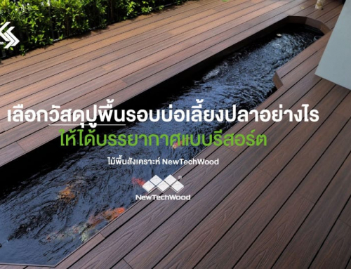 เลือกวัสดุปูพื้นรอบบ่อเลี้ยงปลาอย่างไรให้ได้บรรยากาศแบบรีสอร์ต