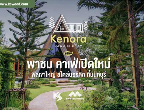 ปักหมุด! Kenora Park N Play  คาเฟ่เปิดใหม่ ฟีลเขาใหญ่ สไตล์นอร์ดิก ที่นนทบุรี