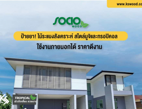 SOCIO TROPICAL ป้ายยา! ไม้ระแนงสังเคราะห์ สไตล์มูจิและทรอปิคอล  ใช้งานภายนอกได้ ราคาดีงาม