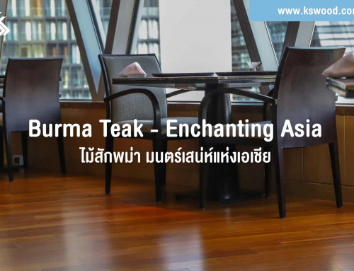 Burma Teak – Enchanting Asia ไม้สักพม่า มนตร์เสน่ห์แห่งเอเชีย
