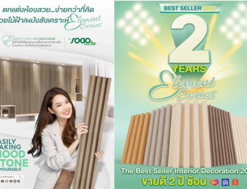 ELEMENT The Best Seller Interior Decoration 2023  ขายดี 2 ปี ซ้อน