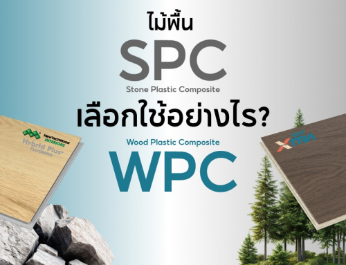SPC vs WPC ไม้พื้นภายในแบบไหนที่ใช่สำหรับคุณ?