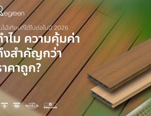 Regreen พื้นไม้เทียมที่ได้ไปต่อในปี 2026 ทำไม ความคุ้มค่า ถึงสำคัญกว่า ราคาถูก ในวันที่เศรษฐกิจไม่แน่นอน