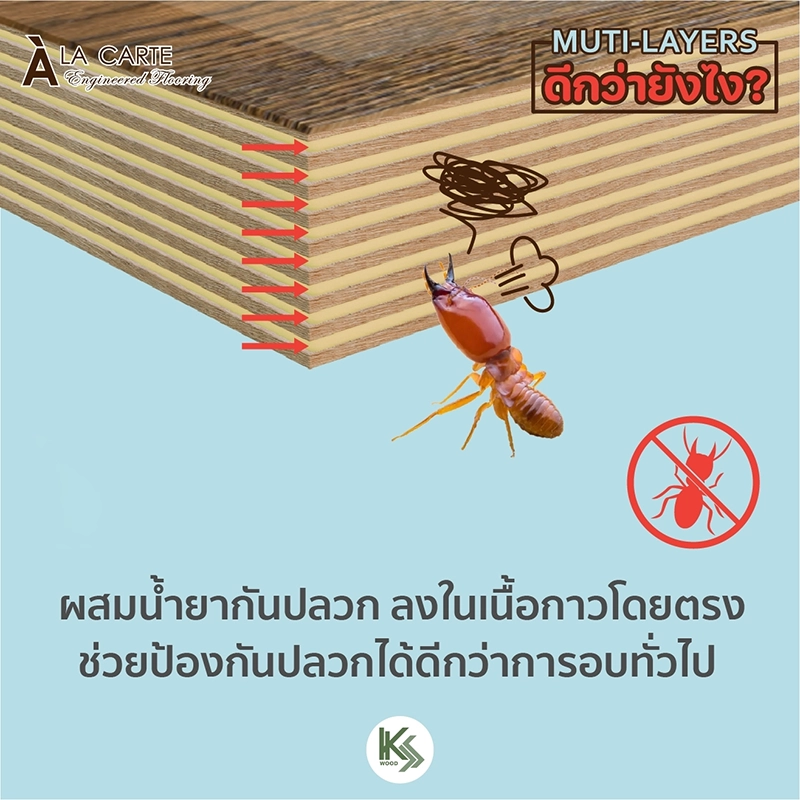 ไม้พื้นเอ็นจิเนียร์ คัดเกรดพิเศษ จาก K.S. WOOD ผสมน้ำยากันปลวกลงในเนื้อกาว ช่วยป้องกันปลวกได้ดีกว่าการอบทั่วไป