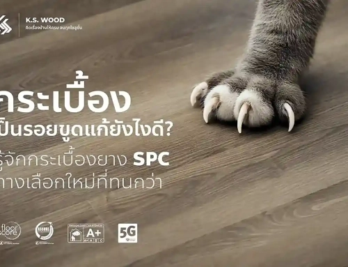 กระเบื้องเป็นรอยขูด แก้ยังไงดี? รู้จักกระเบื้องยาง SPC ทางเลือกใหม่ที่ทนกว่า